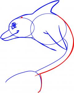 Как нарисовать дельфина