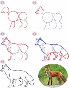 Как нарисовать лису