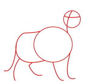 Как нарисовать льва