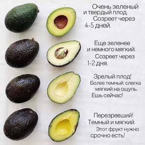 Как выбрать авокадо
