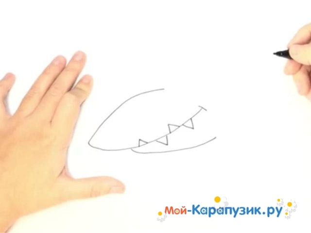 Как нарисовать акулу