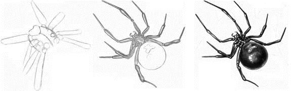 Как нарисовать паука карандашом легко и просто и красиво