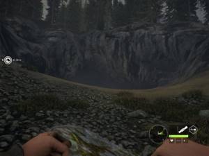 Как охотиться на койота
