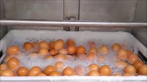 Как термически обрабатывать яйца