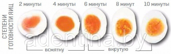Как термически обрабатывать яйца